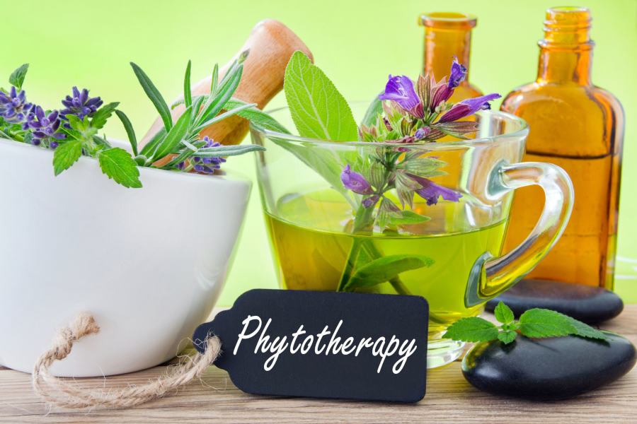 Fitoterapia: Uma Abordagem Natural para a Saúde